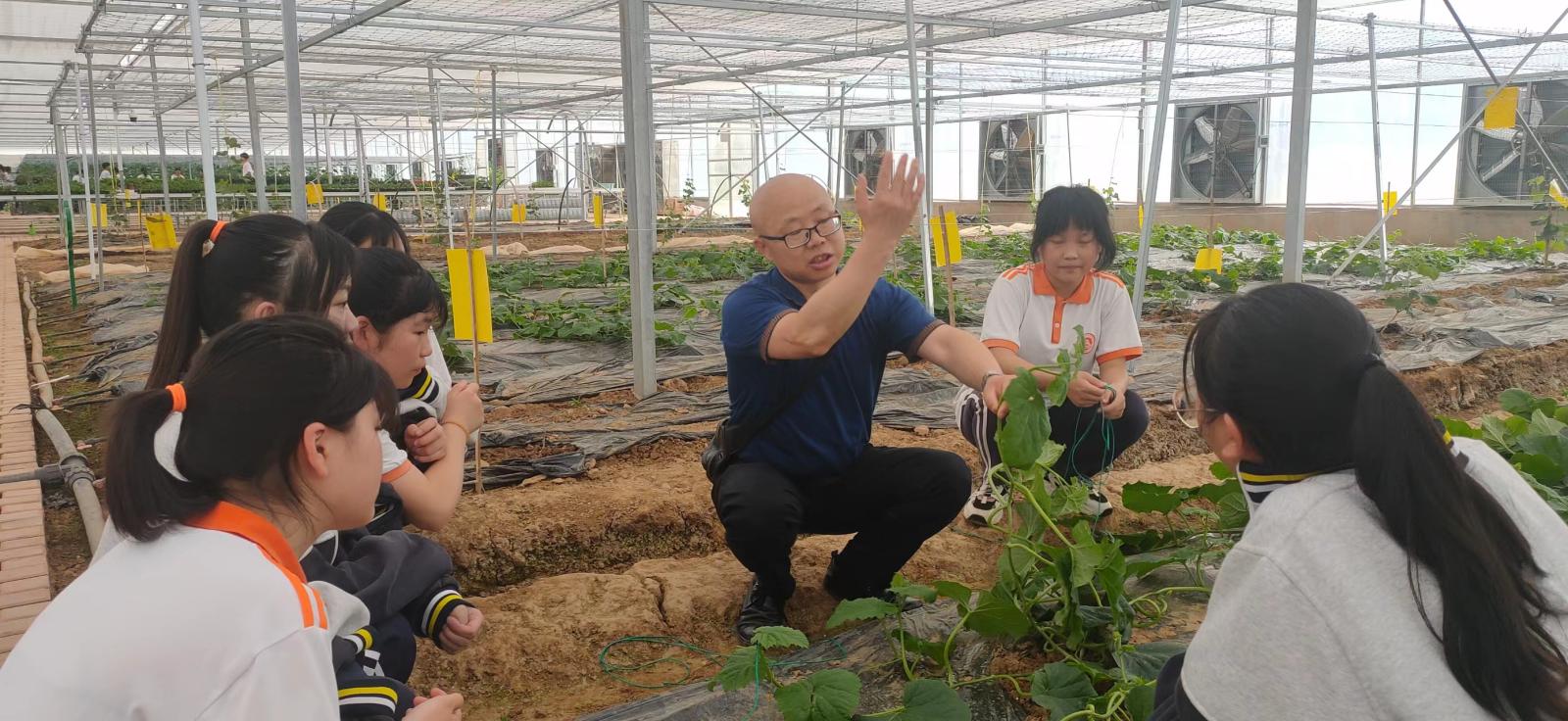 fb645ca9d62a47ac9bbab6bffa65d88a fb645ca9d62a47ac9bbab6bffa65d88a.Jpeg