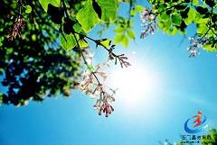 367830ac63cb4856b64943d07ac9dd92 367830ac63cb4856b64943d07ac9dd92.jpg