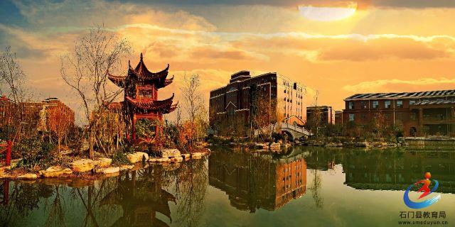 �й���BB��������ɭ(�ɷ�)���޹�˾-�ٷ���վ