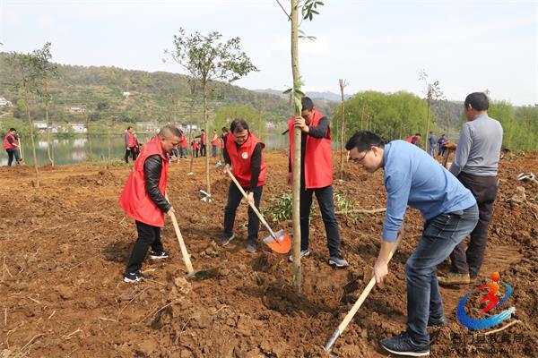 �й���BB��������ɭ(�ɷ�)���޹�˾-�ٷ���վ