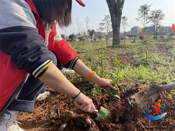 �й���BB��������ɭ(�ɷ�)���޹�˾-�ٷ���վ