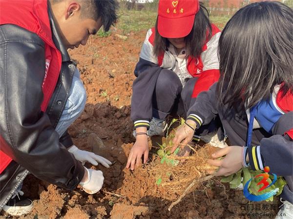 �й���BB��������ɭ(�ɷ�)���޹�˾-�ٷ���վ