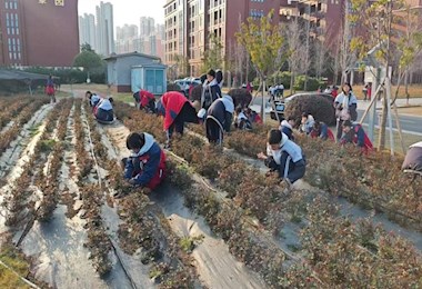 BB��������ɭְר������ֲͬһƬ��������У԰��